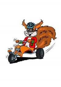 Dein Berg Puschl Kart (c) deinberg.at .jpg