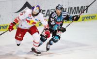 MICHAEL SCHIECHL (EC RBS) UND COREY LOCKE (BLACK WINGS) (C) GEPA HAUER .