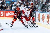 Red Bull Salzburg vs Pinguins Bremerhaven (c) Mackinger EC Red Bull Salzburg