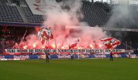Bullen Fans (c) GEPA Roittner .jpg