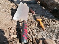 Spitalsfriedhof SALK Impressionen 13 (c) maic.jpg