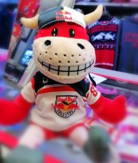 Maskottchen Rob (c) maic