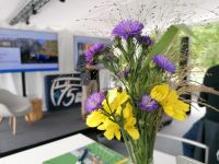 75 Jahre Bulli (c) maic Bild 14.jpg