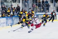 HC Pustertal Woelfe vs. EC Red Bull Salzburg (c) Zenoni EC Red Bull Salzburg