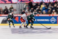 Luca Auer und Jeremy Groleau (c) Karpaviciute EC Red Bull Salzburg.jpg