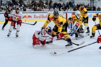 EC Red Bull Salzburg vs HC Falkensteiner Pustertal Wölfe (c) Mackinger EC RBS