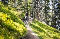 Trail im Schatten (c) Klemens König .jpg