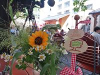 Salzburger Bauernherbst 2025 (c) maic Bild 1.jpg