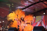 Electric Love 2025 (c) maic Bild 31.jpg