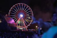 Electric Love 2025 (c) maic Bild 28.jpg