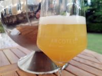 ARCOTEL Castellani Salzburg Impressionen 16 (c) maic .jpg