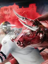 EC Red Bull Salzburg (c) maic