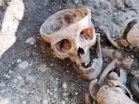 Spitalsfriedhof SALK Impressionen 14 (c) maic.jpg