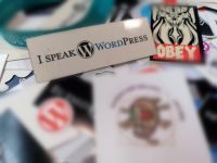 WordCamp2025 (c) maic Bild 7.jpg